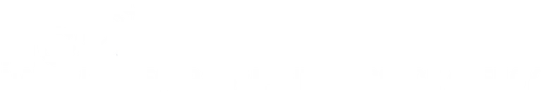 National Geospatial-Intelligence Agency
